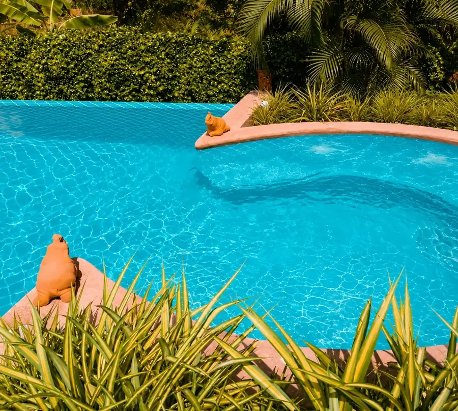 Piscina de borda infinita cercada por vegetação